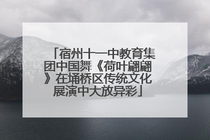 宿州十一中教育集团中国舞《荷叶翩翩》在埇桥区传统文化展演中大放异彩