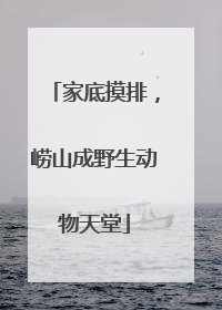 家底摸排，崂山成野生动物天堂