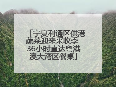 宁夏利通区供港蔬菜迎来采收季 36小时直达粤港澳大湾区餐桌