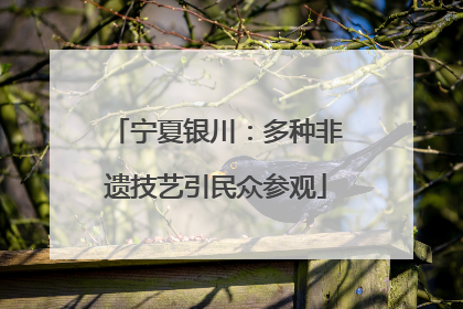 宁夏银川：多种非遗技艺引民众参观