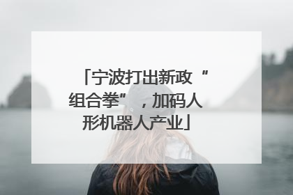 宁波打出新政“组合拳”，加码人形机器人产业