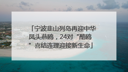 宁波韭山列岛再迎中华凤头燕鸥，24对“酷鸥”喜结连理迎接新生命