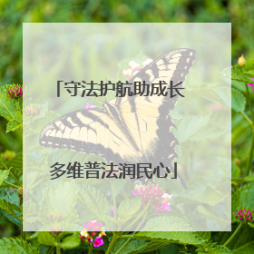 守法护航助成长 多维普法润民心