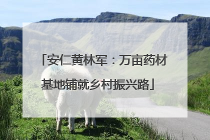 安仁黄林军：万亩药材基地铺就乡村振兴路