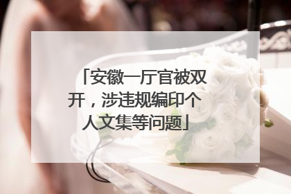安徽一厅官被双开，涉违规编印个人文集等问题