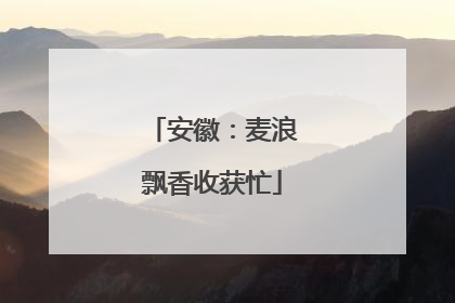 安徽：麦浪飘香收获忙