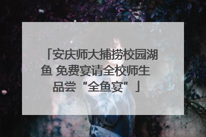 安庆师大捕捞校园湖鱼 免费宴请全校师生品尝“全鱼宴”