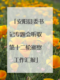 安阳县委书记专题会听取第十二轮巡察工作汇报