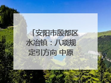 安阳市殷都区水冶镇：八项规定引方向 中原第一镇谱新章