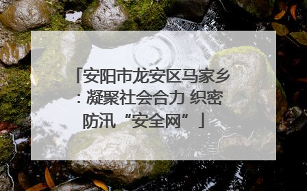 安阳市龙安区马家乡：凝聚社会合力 织密防汛“安全网”