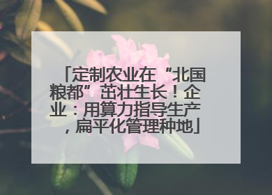 定制农业在“北国粮都”茁壮生长！企业：用算力指导生产，扁平化管理种地
