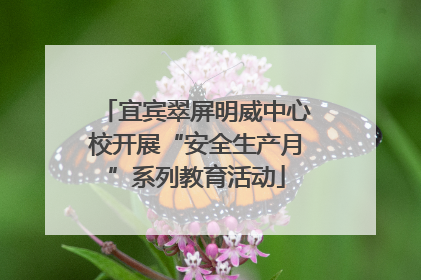 宜宾翠屏明威中心校开展“安全生产月”系列教育活动