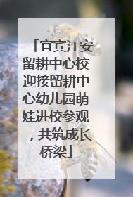 宜宾江安留耕中心校迎接留耕中心幼儿园萌娃进校参观，共筑成长桥梁