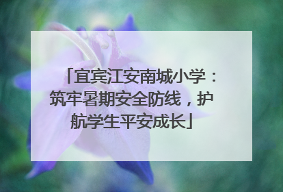 宜宾江安南城小学：筑牢暑期安全防线，护航学生平安成长