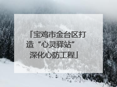 宝鸡市金台区打造“心灵驿站” 深化心防工程