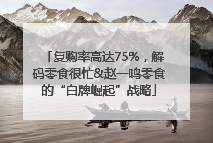 复购率高达75%，解码零食很忙&赵一鸣零食的“白牌崛起”战略