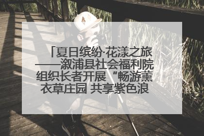 夏日缤纷·花漾之旅——溆浦县社会福利院组织长者开展“畅游薰衣草庄园 共享紫色浪漫”户外活动