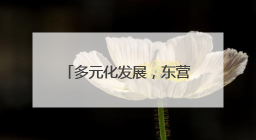 多元化发展，东营新户镇盐场、渔业和新能源产业并进
