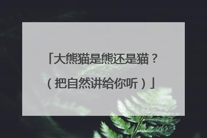 大熊猫是熊还是猫？（把自然讲给你听）