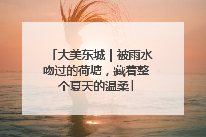 大美东城｜被雨水吻过的荷塘，藏着整个夏天的温柔