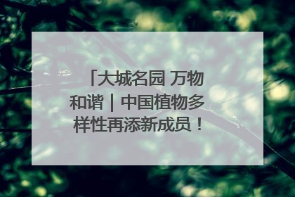 大城名园 万物和谐｜中国植物多样性再添新成员！它只在西藏墨脱