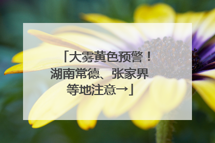 大雾黄色预警！湖南常德、张家界等地注意→