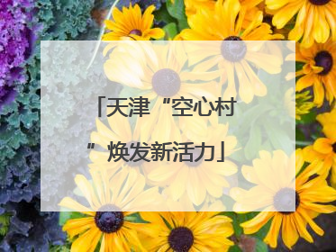 天津“空心村”焕发新活力