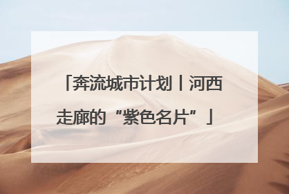 奔流城市计划丨河西走廊的“紫色名片”