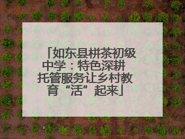 如东县栟茶初级中学：特色深耕 托管服务让乡村教育“活”起来