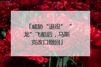 威胁“退役”“龙”飞船后，马斯克改口撤回