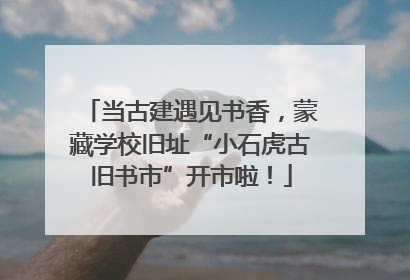 当古建遇见书香，蒙藏学校旧址“小石虎古旧书市”开市啦！