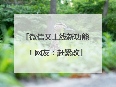 微信又上线新功能！网友：赶紧改
