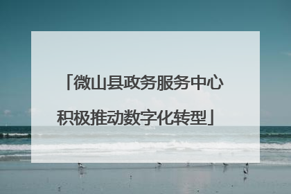 微山县政务服务中心积极推动数字化转型