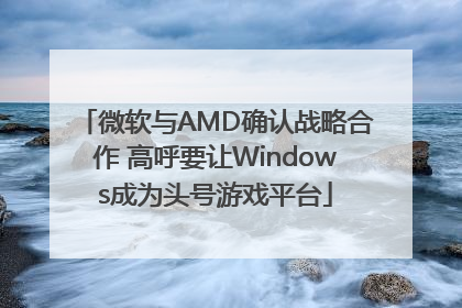 微软与AMD确认战略合作 高呼要让Windows成为头号游戏平台