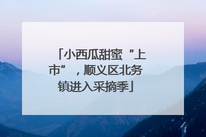 小西瓜甜蜜“上市”，顺义区北务镇进入采摘季