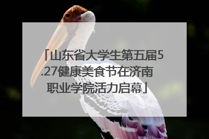 山东省大学生第五届5.27健康美食节在济南职业学院活力启幕