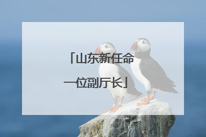 山东新任命一位副厅长
