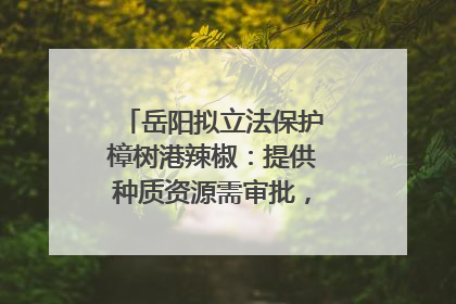 岳阳拟立法保护樟树港辣椒：提供种质资源需审批，违规最高罚5万