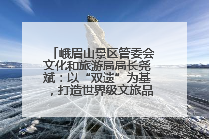 峨眉山景区管委会文化和旅游局局长尧斌：以“双遗”为基，打造世界级文旅品牌与国际典范