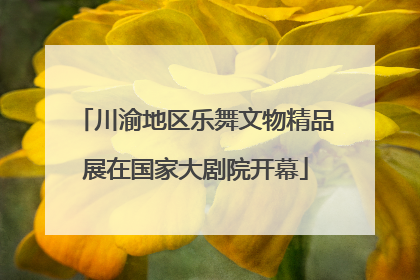 川渝地区乐舞文物精品展在国家大剧院开幕