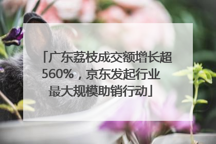 广东荔枝成交额增长超560%，京东发起行业最大规模助销行动