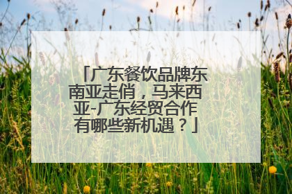 广东餐饮品牌东南亚走俏，马来西亚-广东经贸合作有哪些新机遇？