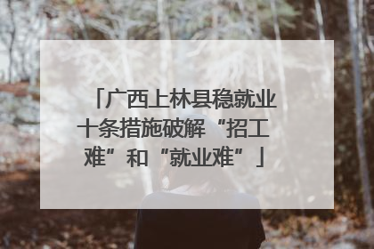 广西上林县稳就业十条措施破解“招工难”和“就业难”