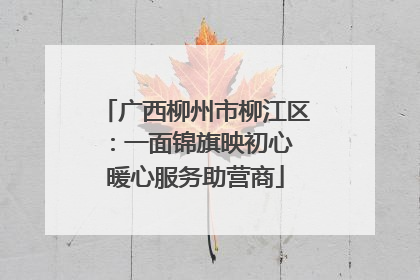 广西柳州市柳江区：一面锦旗映初心 暖心服务助营商