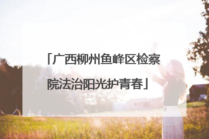 广西柳州鱼峰区检察院法治阳光护青春