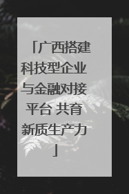 广西搭建科技型企业与金融对接平台 共育新质生产力