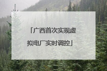 广西首次实现虚拟电厂实时调控