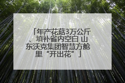年产花菇3万公斤、填补省内空白 山东沃克集团智慧方舱里“开出花”