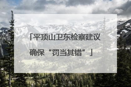 平顶山卫东检察建议确保“罚当其错”