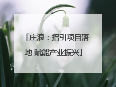 庄浪：招引项目落地 赋能产业振兴